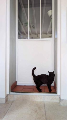 cuisine modernisée terracotta bois optimisation espace roncherolles