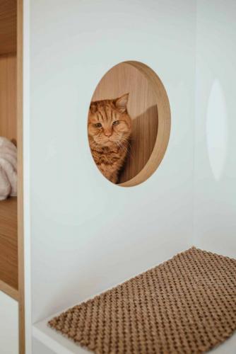 Photo de la création d'une bibliothèque sur mesure à Sotteville les Rouen