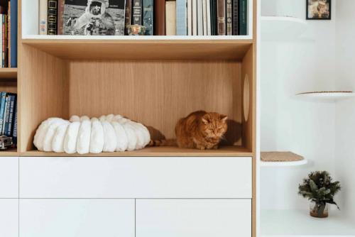 Photo de la création d'une bibliothèque sur mesure à Sotteville les Rouen