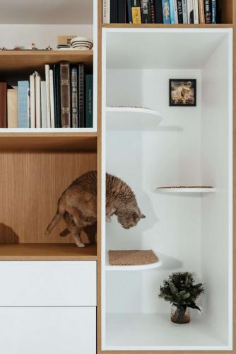 Photo de la création d'une bibliothèque sur mesure à Sotteville les Rouen