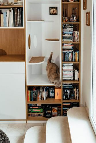 Photo de la création d'une bibliothèque sur mesure à Sotteville les Rouen