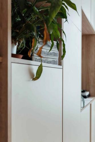 studio 23m2 fecamp matière